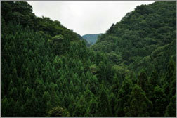 tottori_kanko_115.jpg
