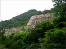 tottori_kanko_95.jpg