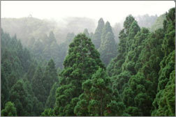 tottori_kanko_120.jpg