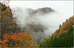 tottori_kanko_130.jpg