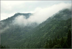 tottori_kanko_175.jpg